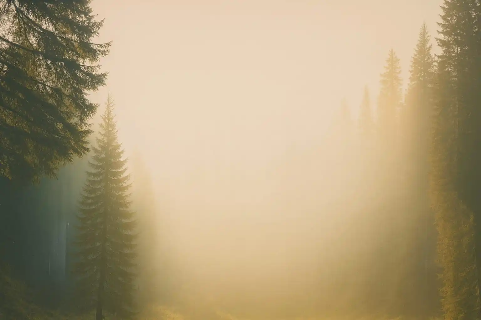 slow down hero image